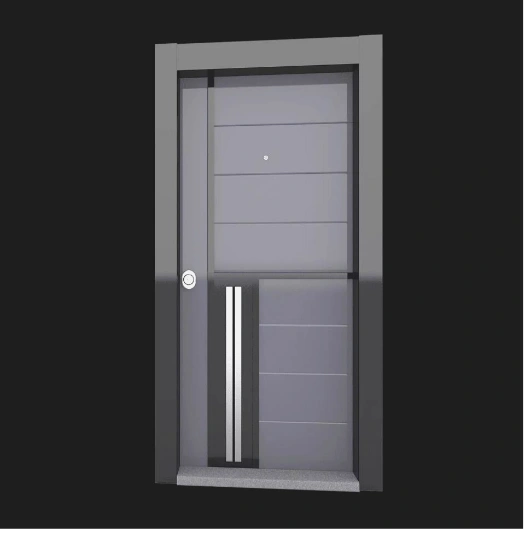 BoyutX Series exterior door