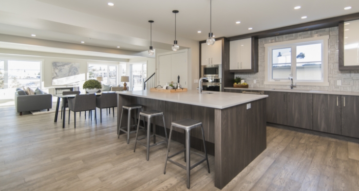 kitchen renovations remodels