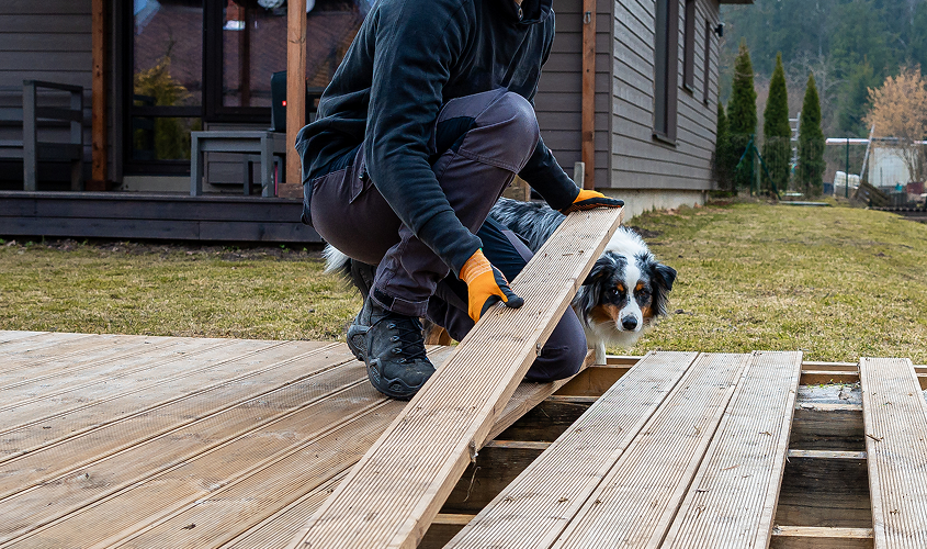 Contractor placing eco-friendly composite wooden deck boards during a sustainable outdoor renovation project in a backyard, watched by a pet dog.